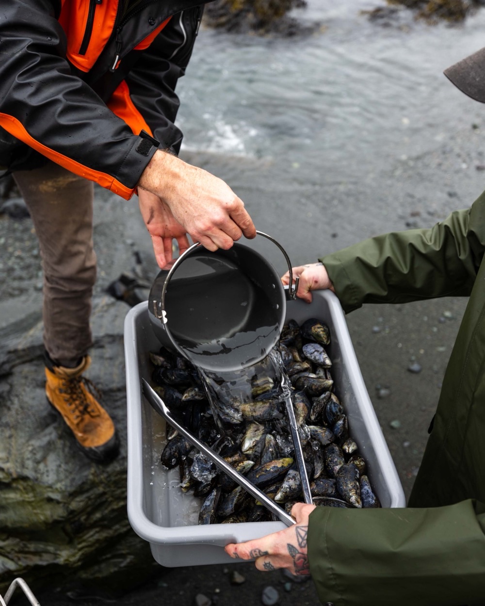 Rinsing fresh-gathered mussels in seawater on the beach